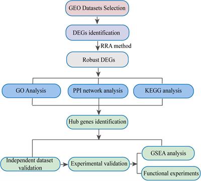 Integrated Bioinformatic Analysis Reveals TXNRD1 as a Novel Biomarker and Potential Therapeutic Target in Idiopathic Pulmonary Arterial Hypertension